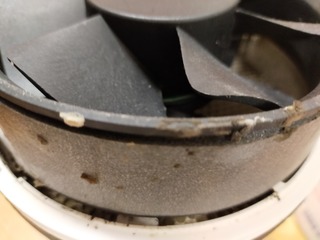 IMG20210527200820.jpg